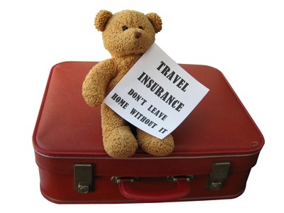 travel-insurance-teddy